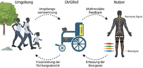 Zum Artikel "MA Entwicklung einer KI-basierten multimodalen Steuerung für intelligente Rollstühle mittels EMG-Signalen"